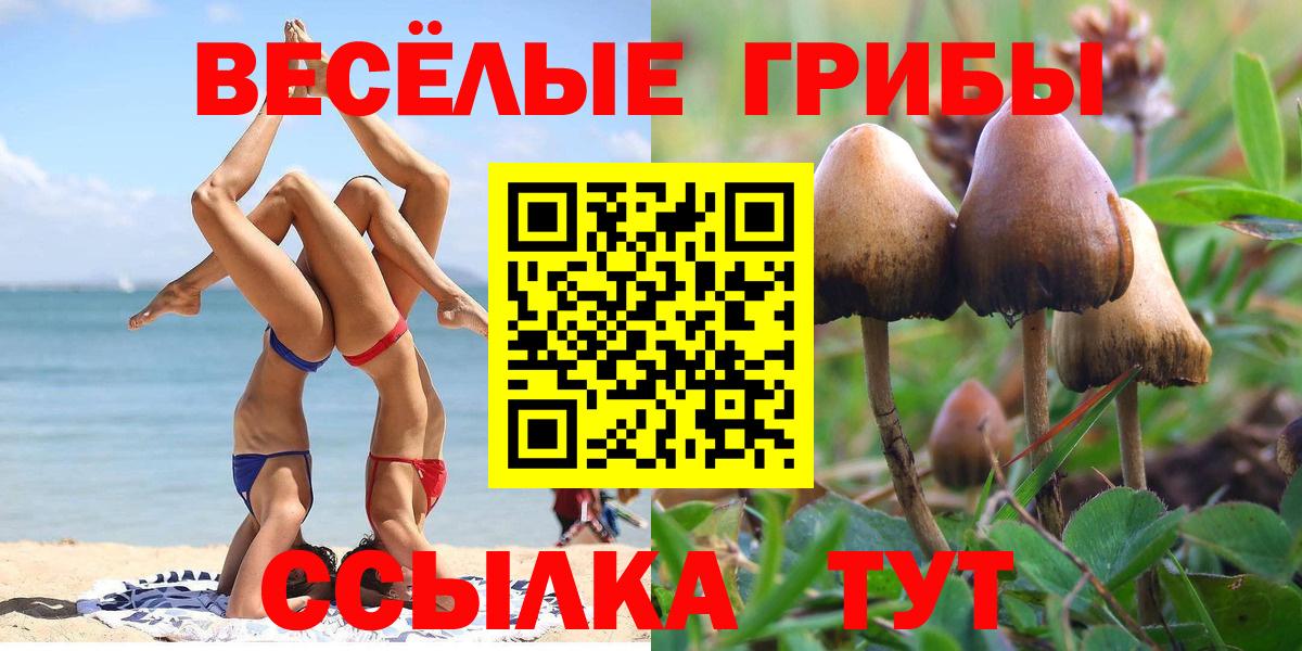 Кирово-Чепецк  Галлюциногенные грибы мицелий  Вход с VPN  Галлюциногенные грибы Magic Shrooms 