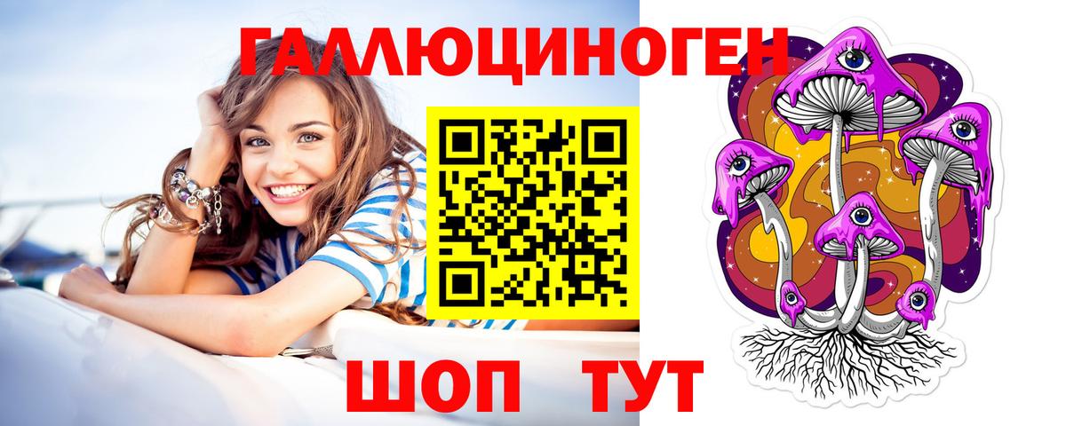 Галлюциногенные грибы Psilocybe Кирово-Чепецк